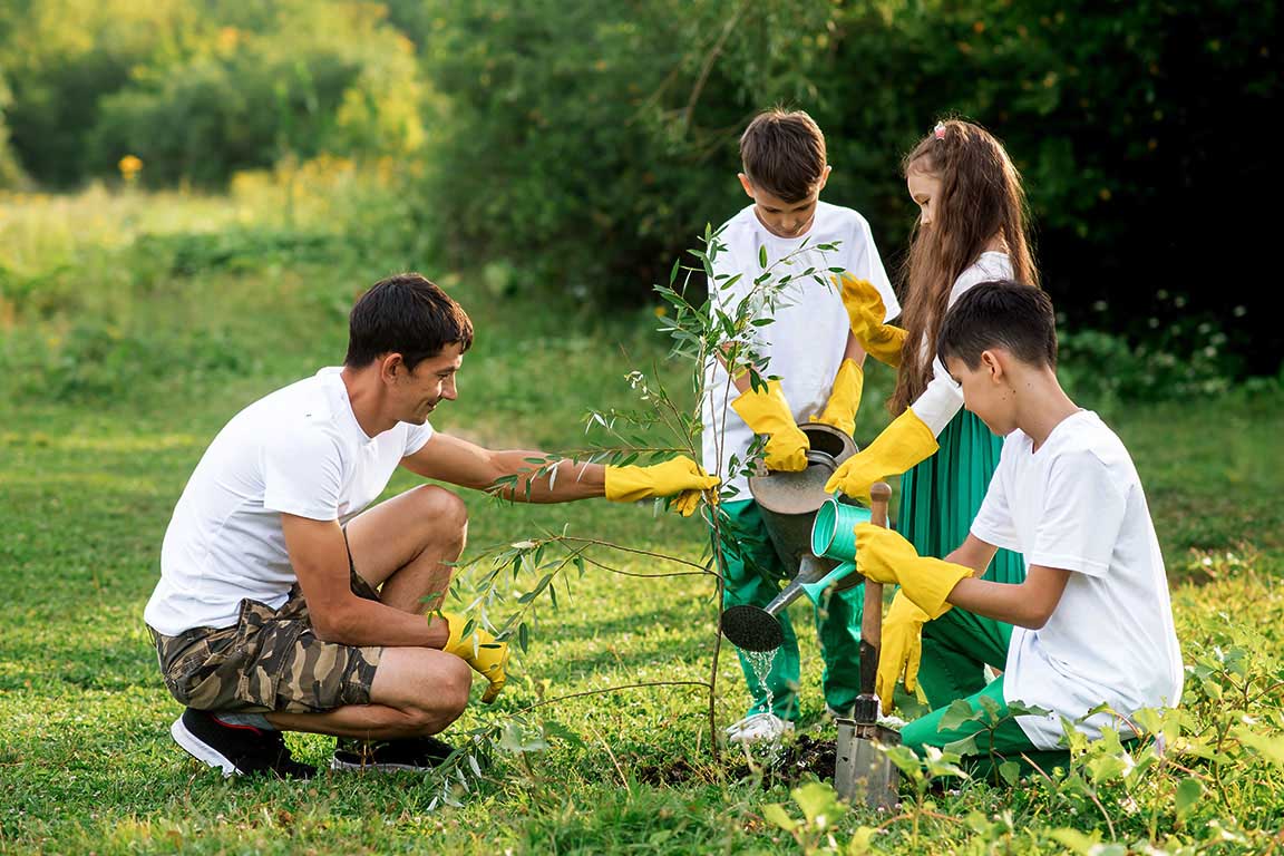 Construção de Cercas