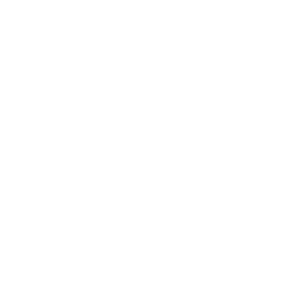 experience icon
