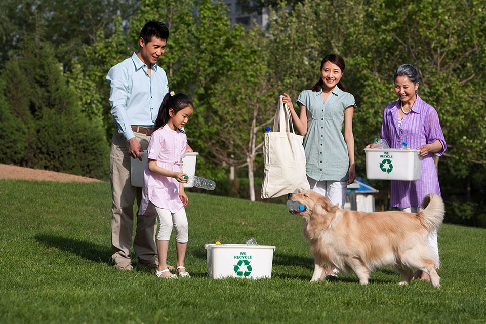 Dog Feeding