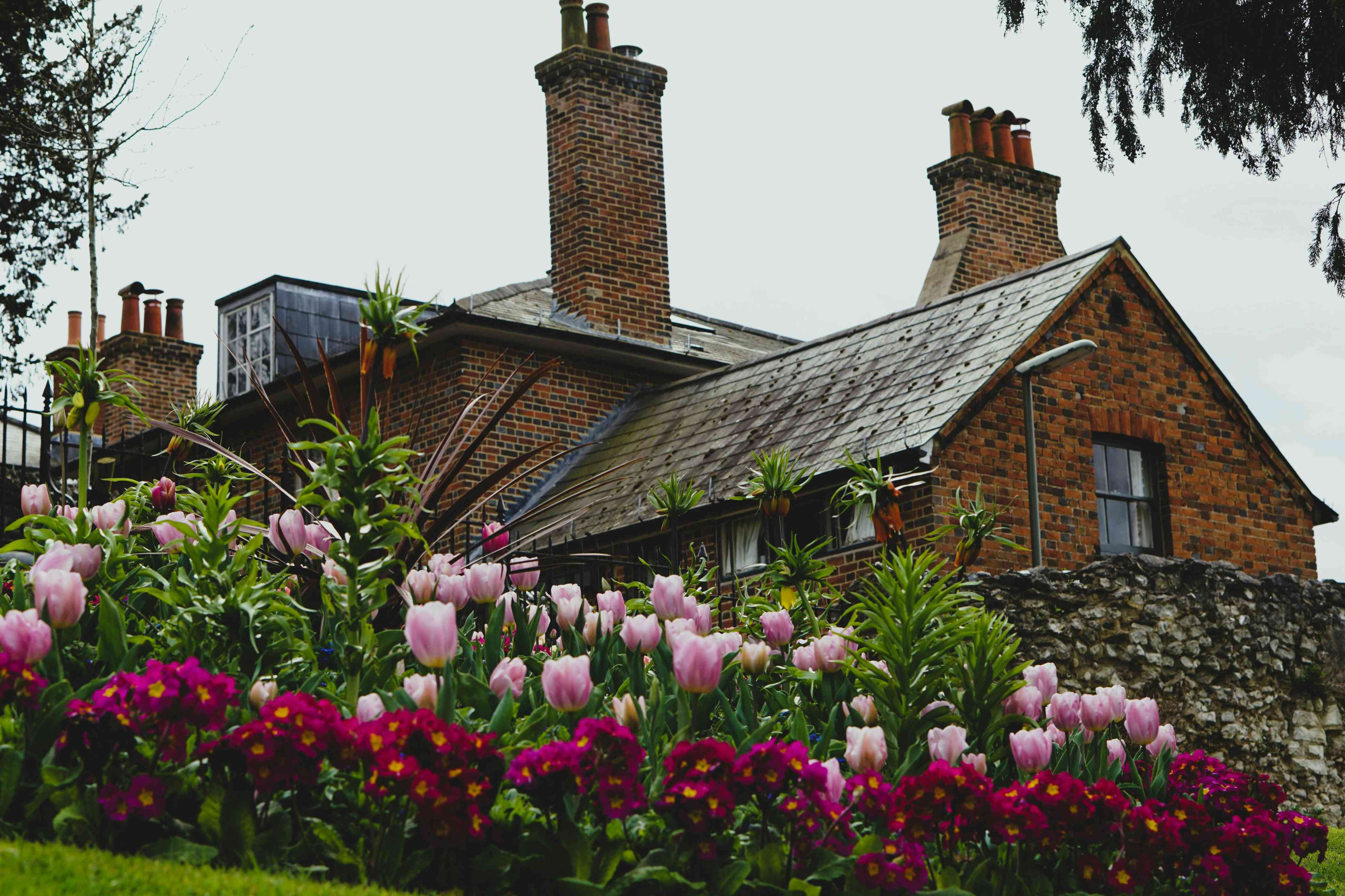 cottage-garden