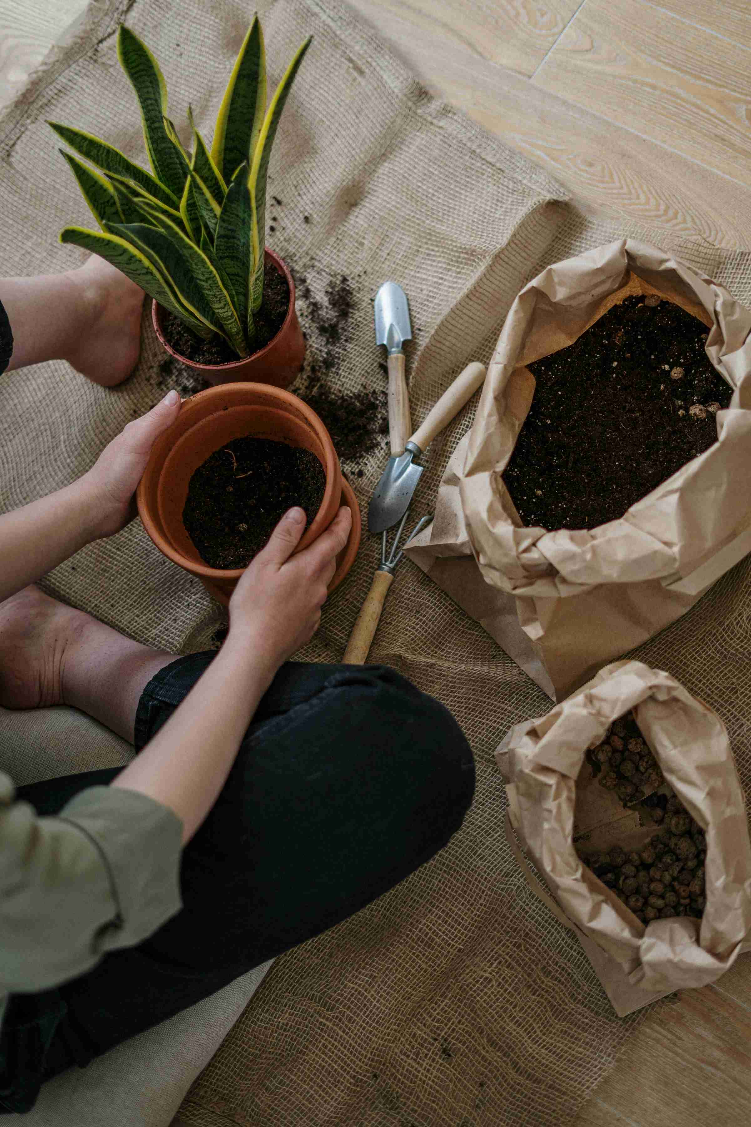 home garden