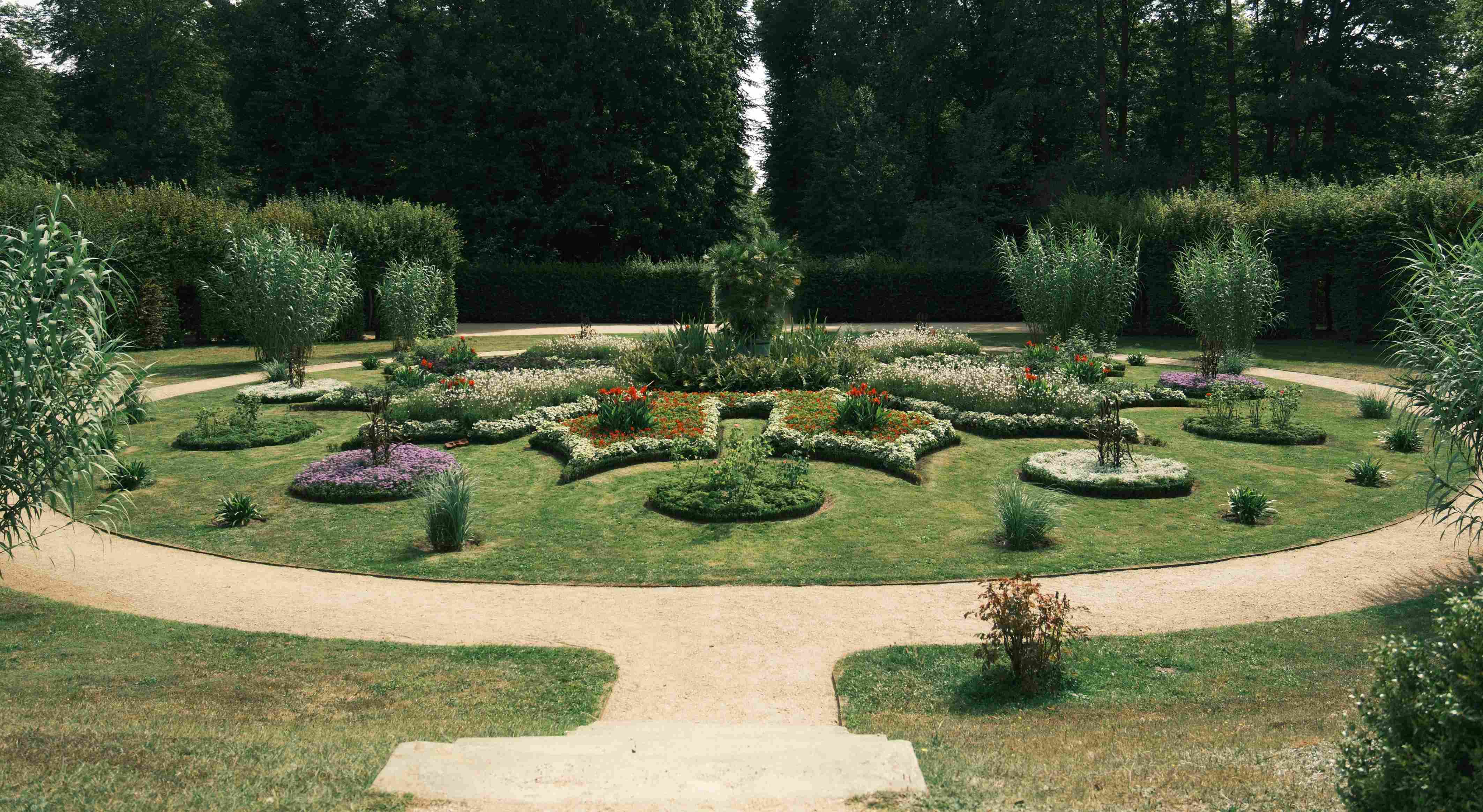 woman-planting