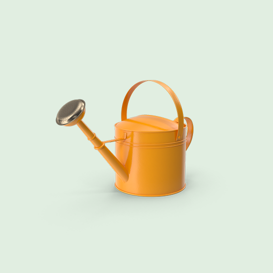 oranage can