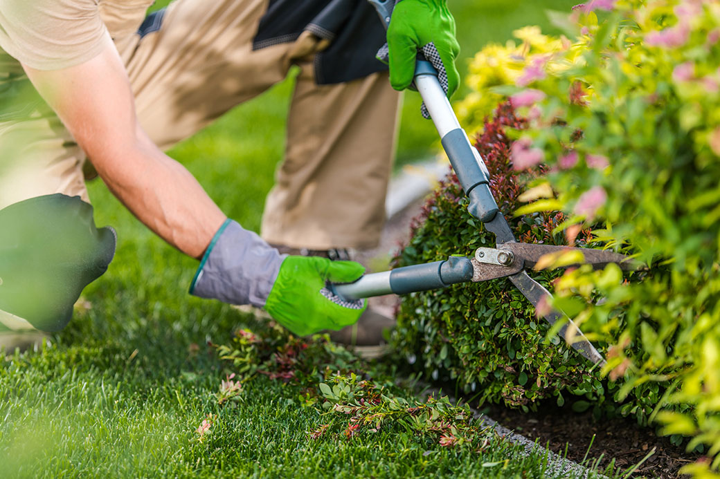 woman planting flower