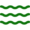leaf icon