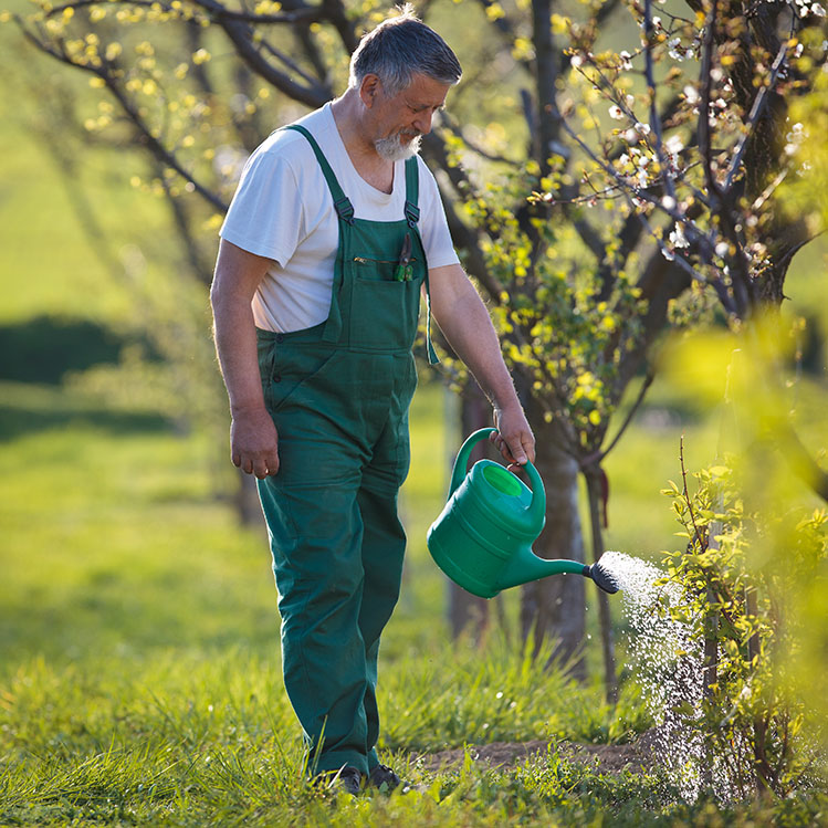 watering orchard garden 