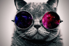 wallpaperflare.cfdfdfom_wallpaper-2